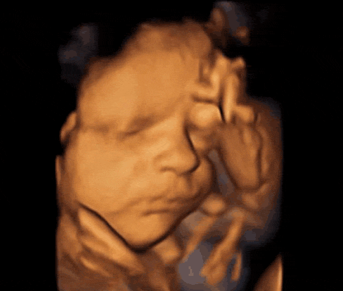 bijzondere ontwikkelingen baby per trimester
